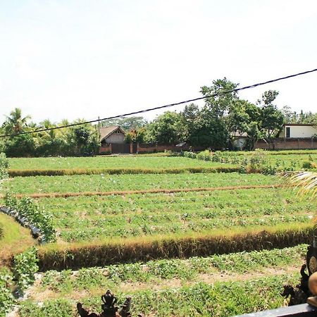 Ancut Sari Hotel Ubud  Exterior photo